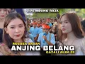 Lagu REGGEA SASAK ANJING BELANG GAZALI ALBA 05 NYAMBUT DI KELAGAK MBUNG RAJA FULL DIPADATI GADIS CANTIK