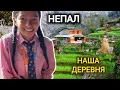 Download Lagu Шокирующий Ежедневный Быт Непальской Семьи. У Меня Тика. Начинается Праздник 2 Нед!