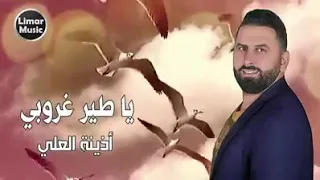 يا طير غروبي  أذينة العلي دندنها