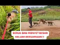 Download Lagu BERUK BASTIAN DAN KAWAN KAWAN JALAN PAGI BERSAMA‼️