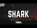 YoungBoy Never Broke Again - Shark