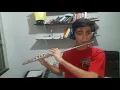 Post Malone Swae Lee - Sunflower Flute cover by Arthur Diniz