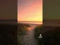Download Lagu Oh my…. #summer #beautiful #beach #tiktok