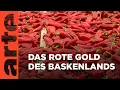 Download Lagu Aquitanien: Piment d’Espelette | Zu Tisch Reupload | ARTE Family