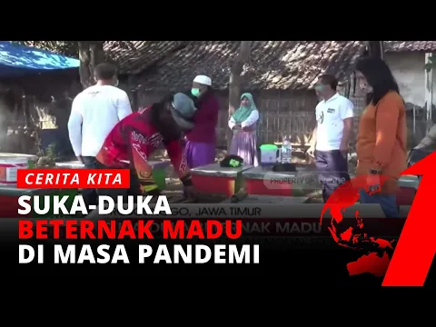 KEREN! Mantan Preman Jadi Peternak Madu | Cerita Kita