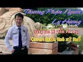 Lagu Thương Phận Người Ly Hương - Quốc Hoà xứ Huế