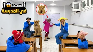 المعلمه الشريره انتقمنا منها وجبنالها أسد في الفصل      السلسيلي   اليماني    دندنها
