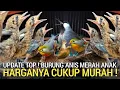 Lagu MUMPUNG ADA ! GUDANG BURUNG KICAU JKT HARGANYA CUKUP MURAH PASAR BURUNG PRAMUKA LEWAT DULU YA