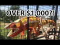 How much does a chameleon cost