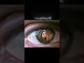 Download Lagu mujhe Kisi Se Mohabbat nahin Tere Siva🥺🥀 all King status #shorts #shaayri #sadshayari #sadlife