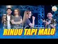 Download Lagu Rindu Tapi Malu - Ajeng Febria ft Erlangga (Aku rindu serindu rindunya) (Official M/V)