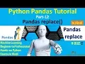 Python Pandas Part-12 Pandas replace Function in Hindi Machine Learning Course 02 12