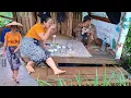 Lagu HIDUP DI DESA,, NIKMATnya Makan Di saung Sawah Sederhana Tapi Nikmat, Sambil Bercanda Sama Si Aki