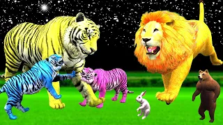 बाघिन के बच्चे और भूखा शेर | Lion & Tigress Story | Sher Ki Kahani | Jungle Animals Stories.