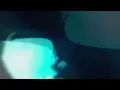 BUNT., Damzz - From Your Eyes (Music Visuals)