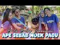 Download Lagu APA SEBAB ARIK POK NDEK PACU (TUTUR CERITE) AZYA MUSIK