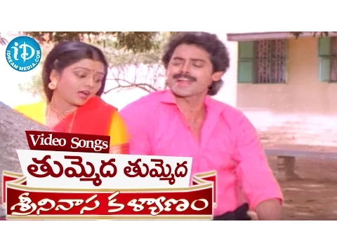 Download MP3 Srinivasa Kalyanam Songs - Tummeda Tummeda Video Song || Venkatesh, Bhanupriya || K V Mahadevan