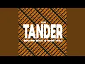 Download Lagu Tander 2019