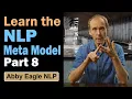 Learn the NLP Meta Model for a Peaceful World Universal Quantifier Part Critical Thinking