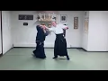 The Nidan Chronicles - KoKoDo Jujutsu Sadohana Kai