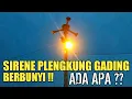 Download Lagu DETIK-DETIK SIRENE PLENGKUNG GADING BERBUNYI