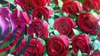 حالات واتس آب سعدون جابر ورد الجوري يوم ماشوفك  دندنها