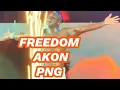 Download Lagu AKON - FREEDOM. Live POM PNG 🇵🇬 ‼️🔥💥 #fypシ #akon #concert 
