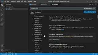 Jupyter Interactive Window in Visual Studio Code
