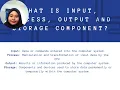 What is input process output and storage component