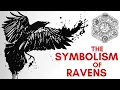 The Symbolism of Ravens Jonathan Pageau