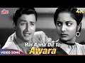 Download Lagu Hai Apna Dil To Awara Na Jaane Kispe Aayega Video Song | Hemant Kumar | Dev Anand, Waheeda Rehman