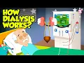 Lagu How Does Dialysis Work? | Kidneys \u0026 Blood Cleaning Explained | Dr. Binocs Show