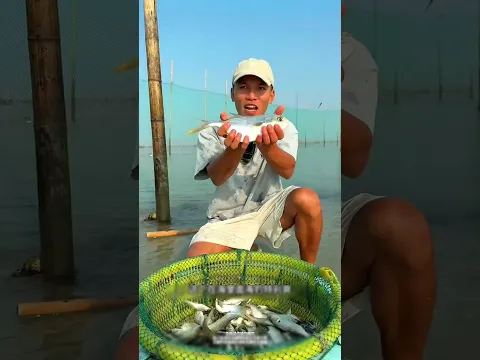 I found an elephant fish, a fish as shiny as silver #fishing