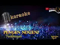 Lagu PENGEN NDUENI KARAOKE - FERDIANSYAH (VERSI CEWE)