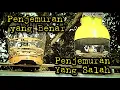 Lagu Penjemuran Burung Perkutut Yang Baik Dan Benar Supaya Sehat dan Gacor  @mangoendjoyochannel8053