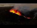 If These Trees Could Talk - Sea of Glass (Official)