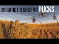 HUNTING DUCKS WITH 20 GAUGE 8 SHOT UNREAL