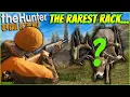 We Hunted ALL DAY For The RAREST Great One Whitetail Deer Call of the wild