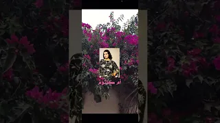 انت النعيم والهنا مقطع من جددت حبك ليه أم كلثوم  انت النعيم والهنا مقطع من جددت حبك ليه أم كلثوم