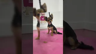 Https Www Facebook Com Share 1Fifg3H89u Mibextid WwXIfr 