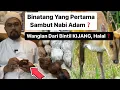 Download Lagu Kenapa Kijang Keluarkan Bau Wangi?