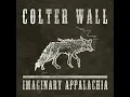 Sleeping on the Blacktop - Colter Wall
