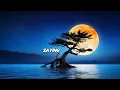 Morgan Wallen - Just In Case (Official Audio)