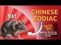 Rat Chinese Zodiac - 2026 Year of the Fire Horse Forecast