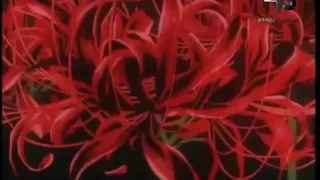 اغنية انيوشا 