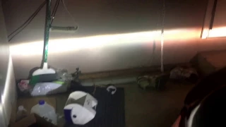 Innovited 35 watt 4300k Hid Kit 1255h11