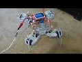 Quadruped Slow Gait Demo