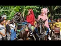 Download Lagu Kuda joget kebumen di desa grogol beningsari 28 Mei 2024