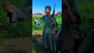 اولاد العم ياغالي 