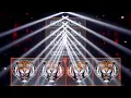 Download Lagu Omkar 72+ Phulwanti X Jain Mekeba Unreleased Sound Check ( DJ YASH OFFICIAL )